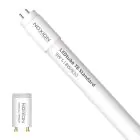 Noxion LED Tube T8 Avant (EM/Mains) Standard Output 7.5W 900lm - 830 Warm White | 60cm - Replaces 18W